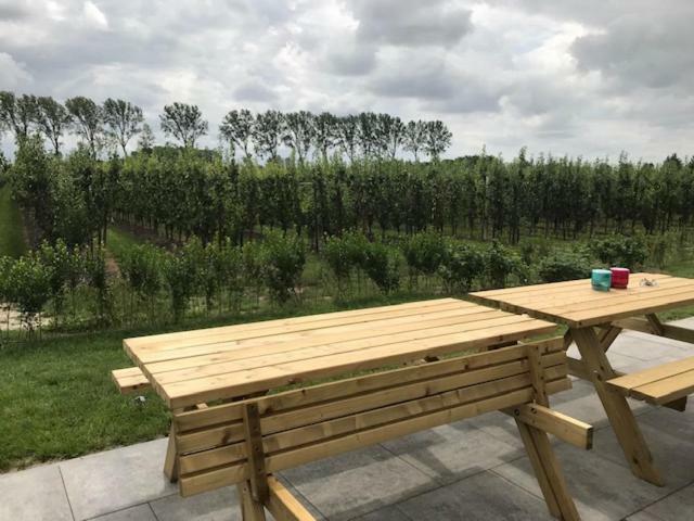 Hoeve Oude Tol Zuidzande Экстерьер фото
