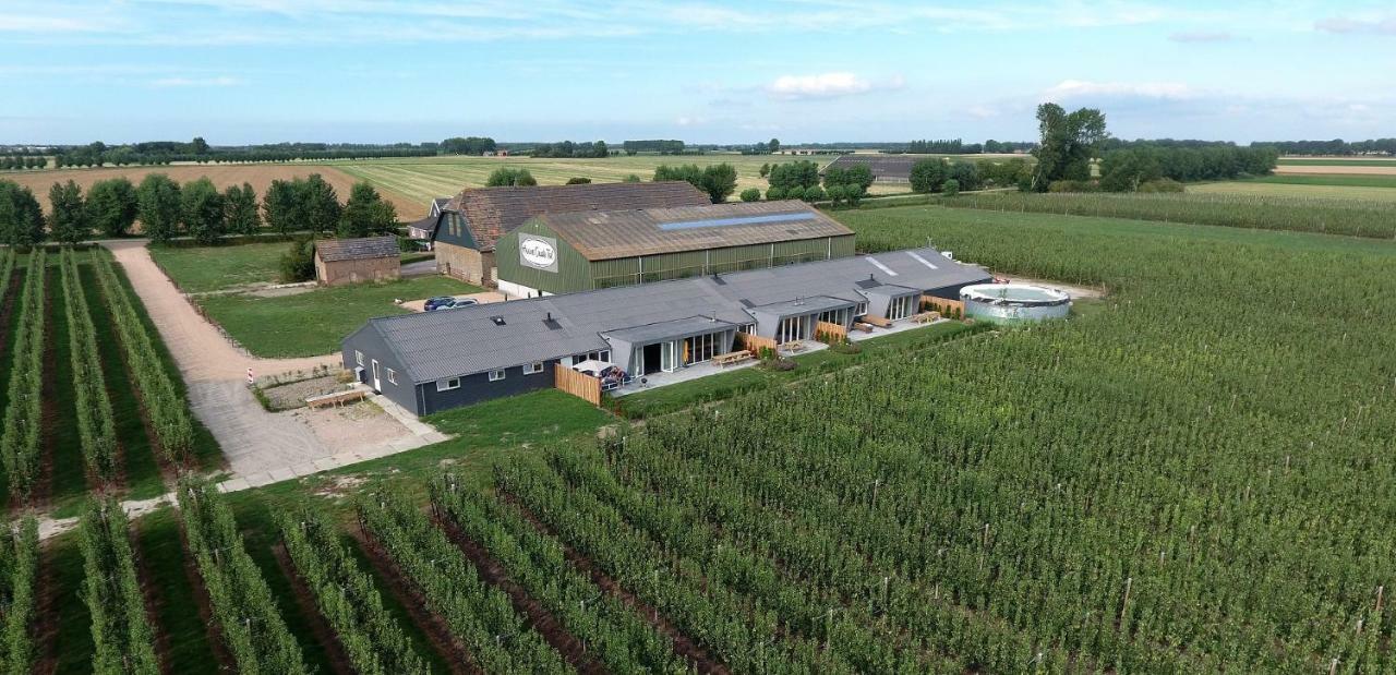 Hoeve Oude Tol Zuidzande Экстерьер фото